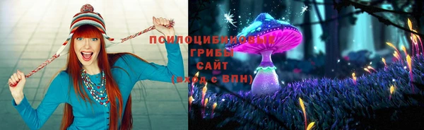 героин Алексин